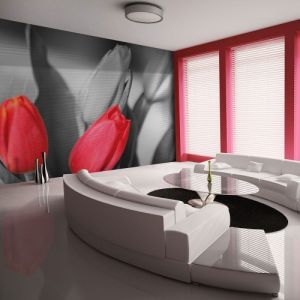 Fototapeta - Czerwone tulipany na czarno-białym tle
