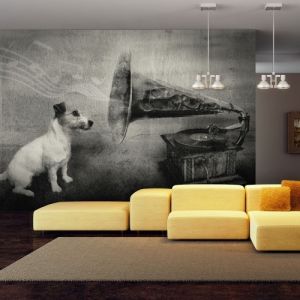 Fototapeta - Dog\'s melodies