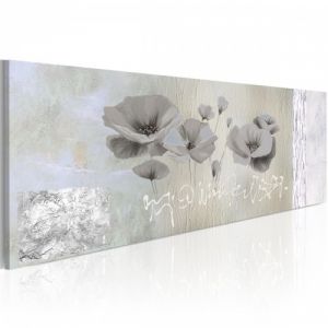 Obraz - Poppies in hibernation