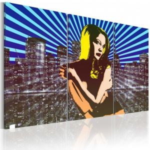 Obraz - American beauty - triptych
