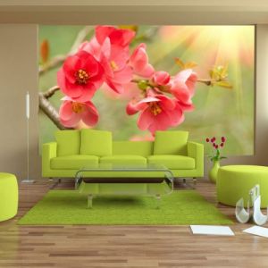 Fototapeta - Azalea reflected in the water
