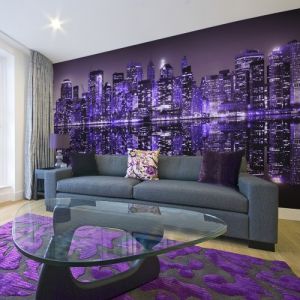 Fototapeta - American violet