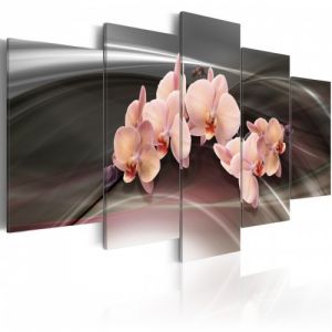 Obraz - Różowa orchidea na ciemnym tle