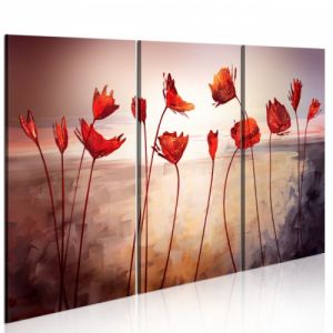 Obraz - Bright red poppies