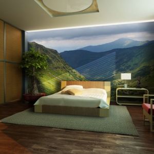 Fototapeta - Green mountain landscape