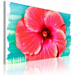 Obraz - Hawaiian flower