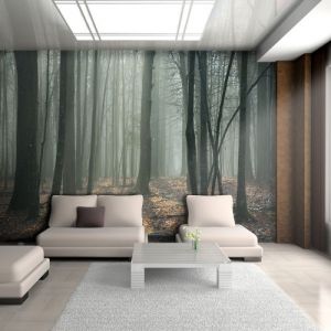 Fototapeta - Witches\' forest